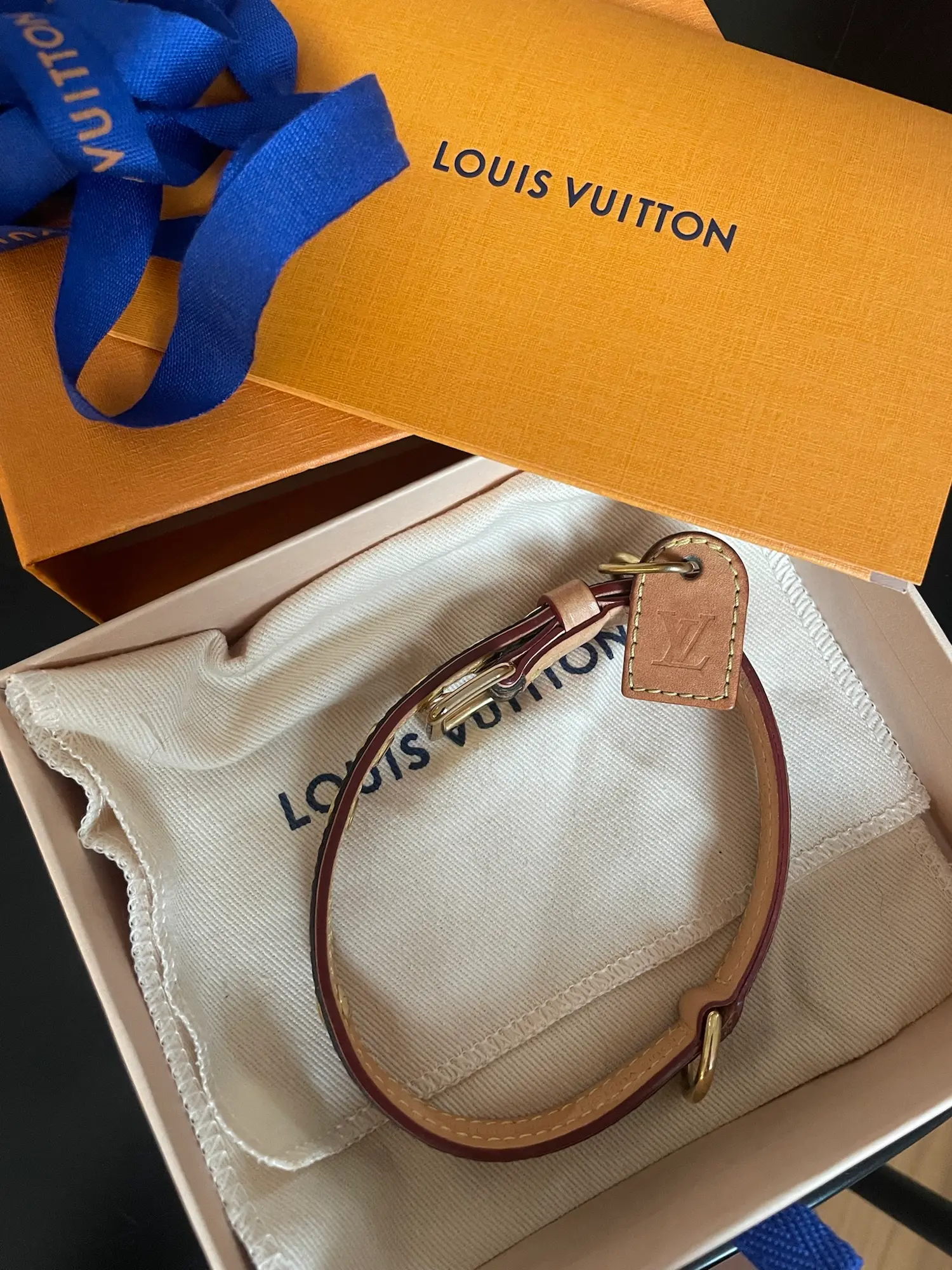 Louis Vuitton accessory