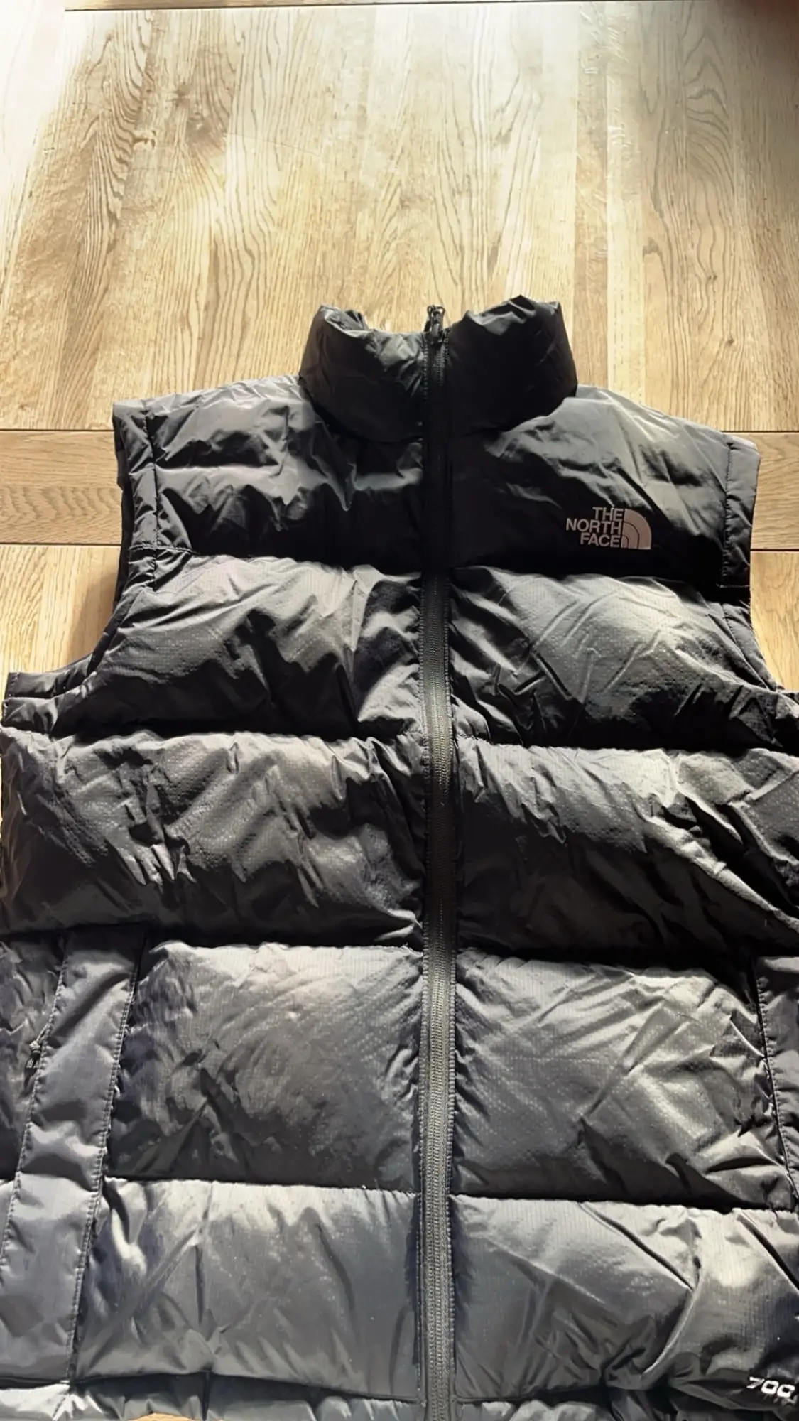 The North Face vest