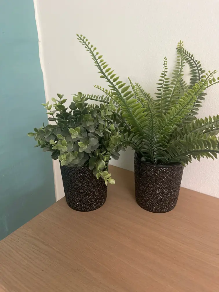 Ikea plante