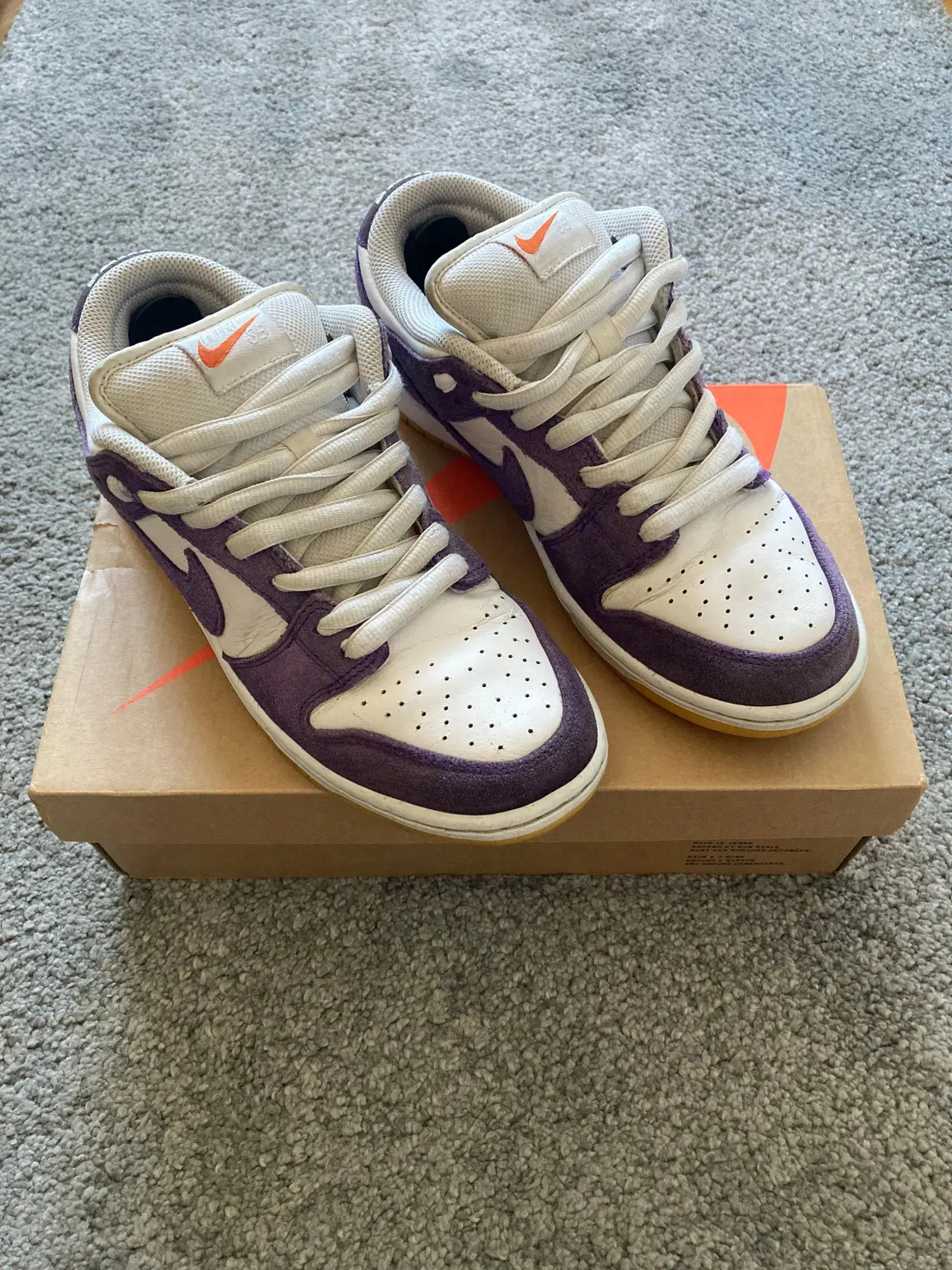 Nike Sb sneakers