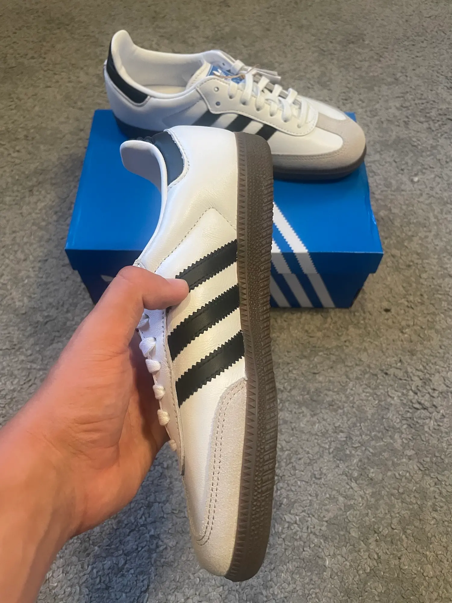 Adidas sneakers