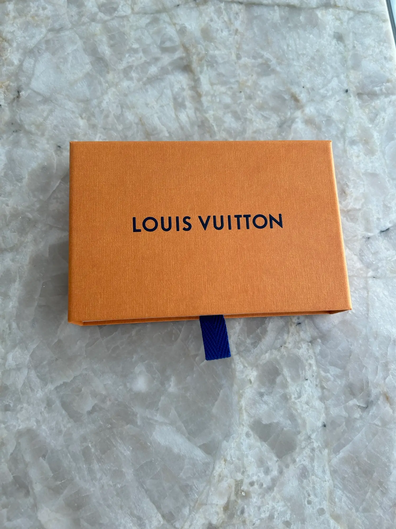 Louis Vuitton anden accessory