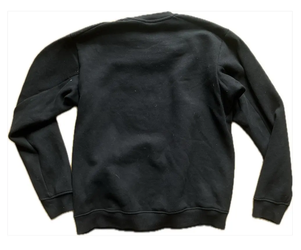 Arc'teryx sweatshirt