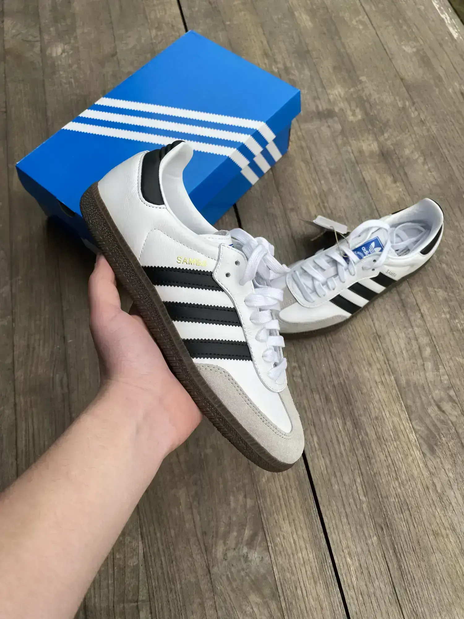 Adidas sneakers