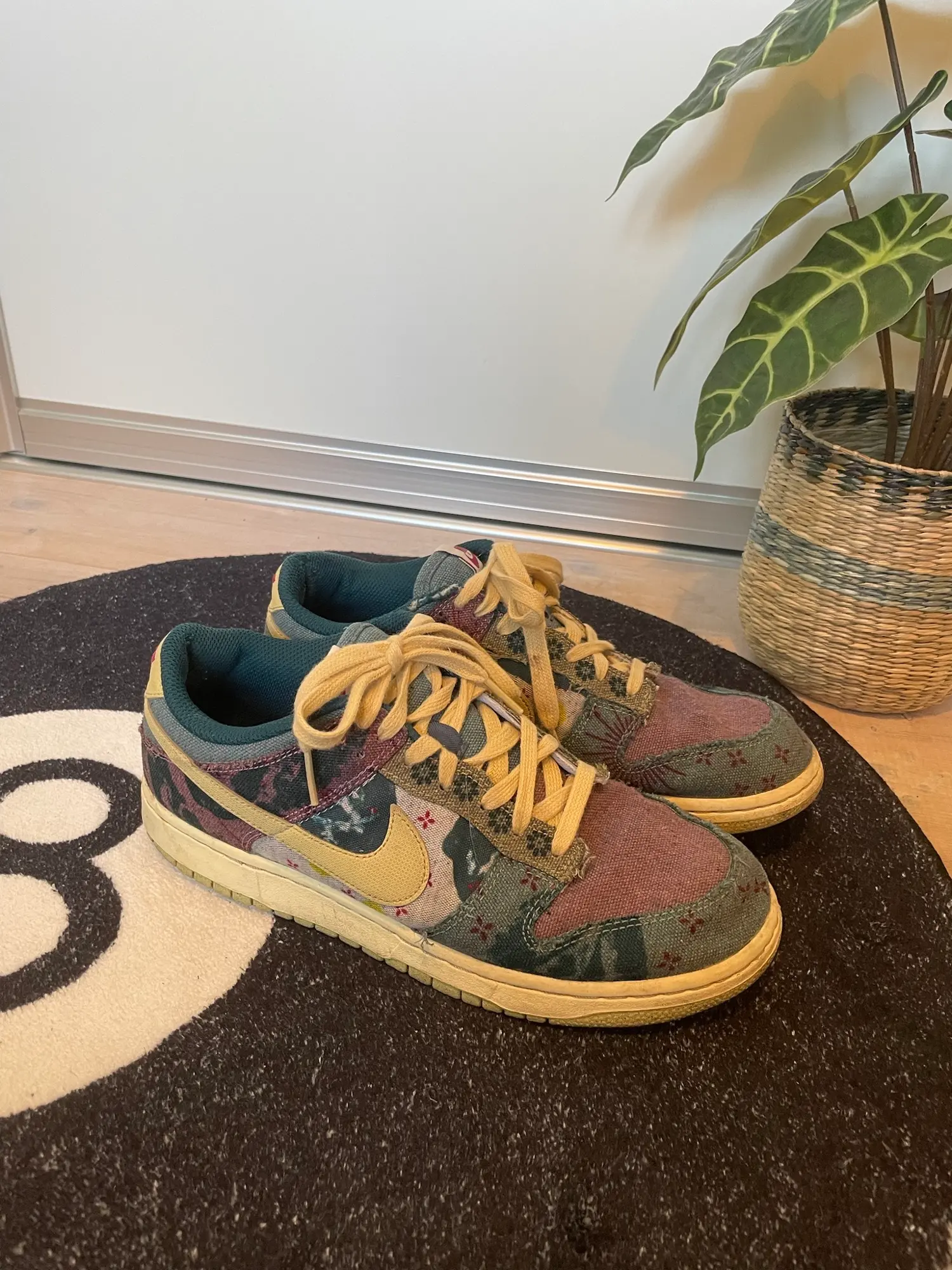 Nike Sb sneakers