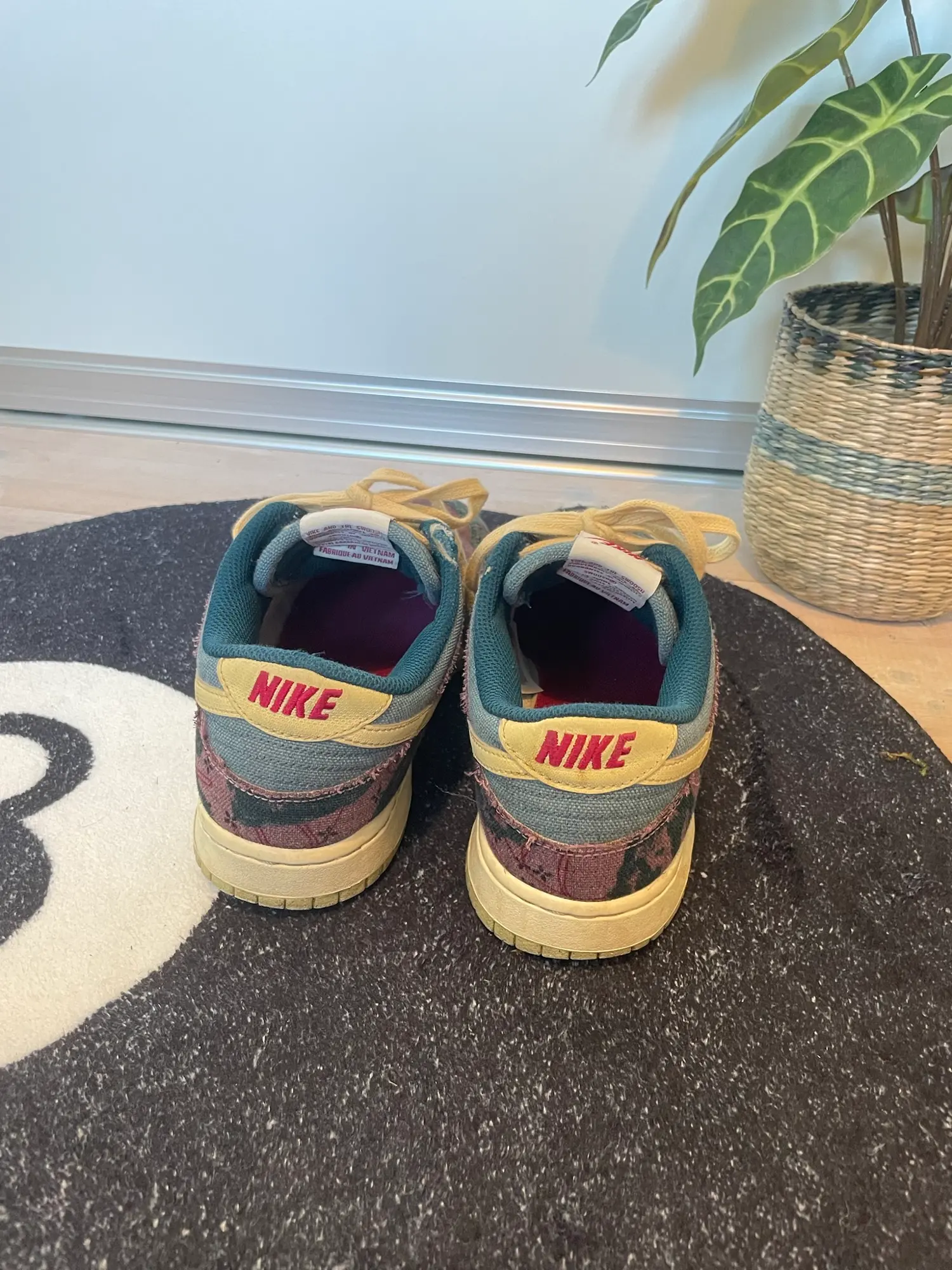 Nike Sb sneakers