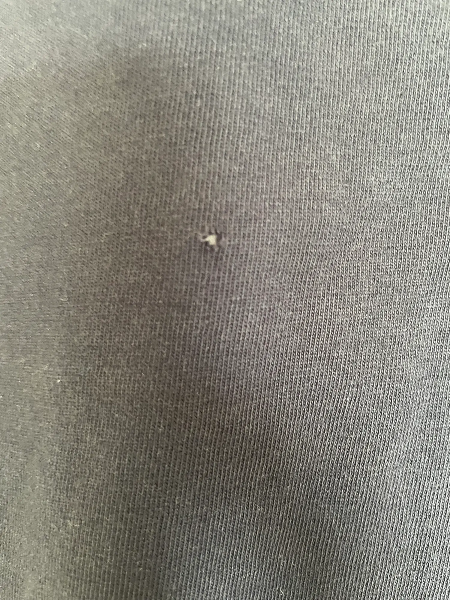 Acne Studios sweatshirt