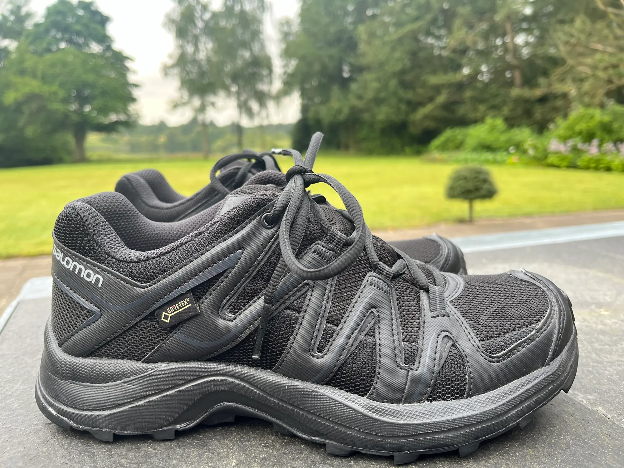 Salomon sneakers