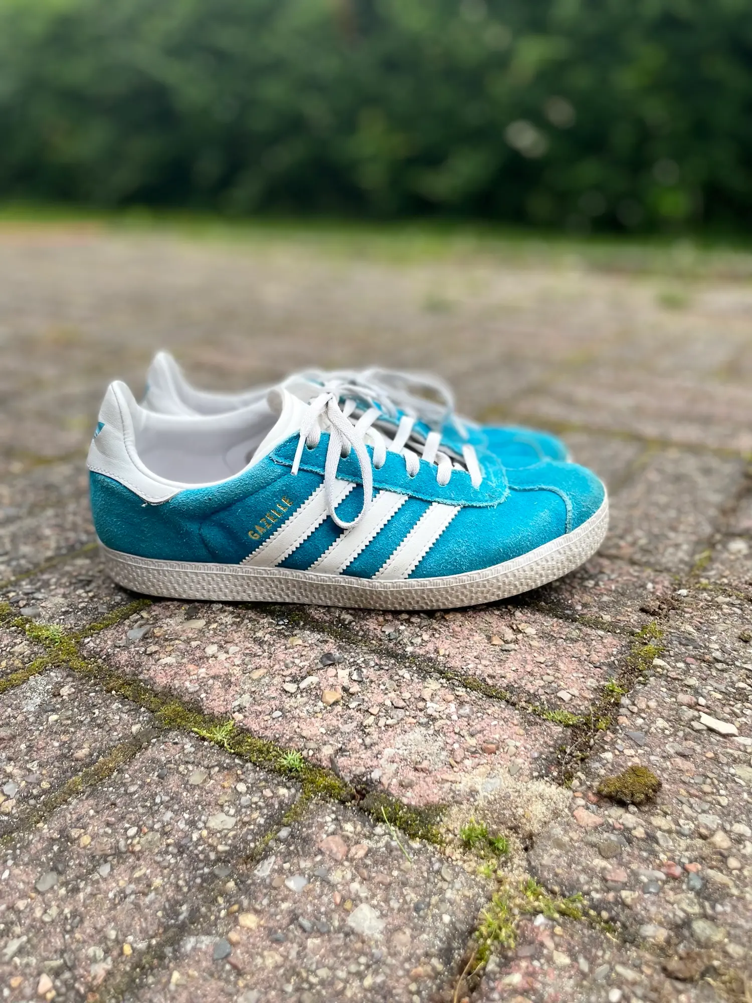 Adidas Originals andre sko  støvler