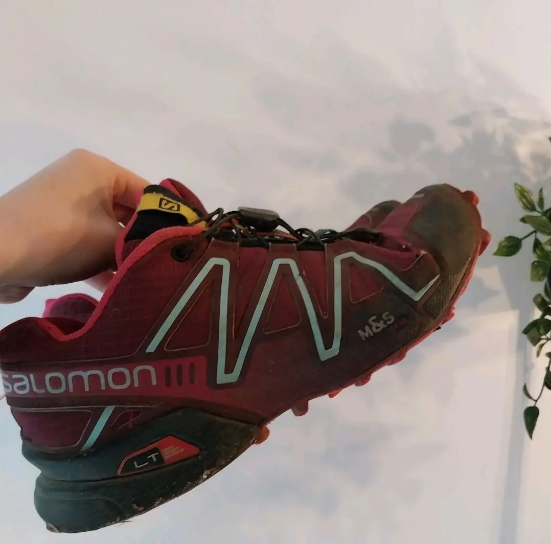 Salomon sneakers