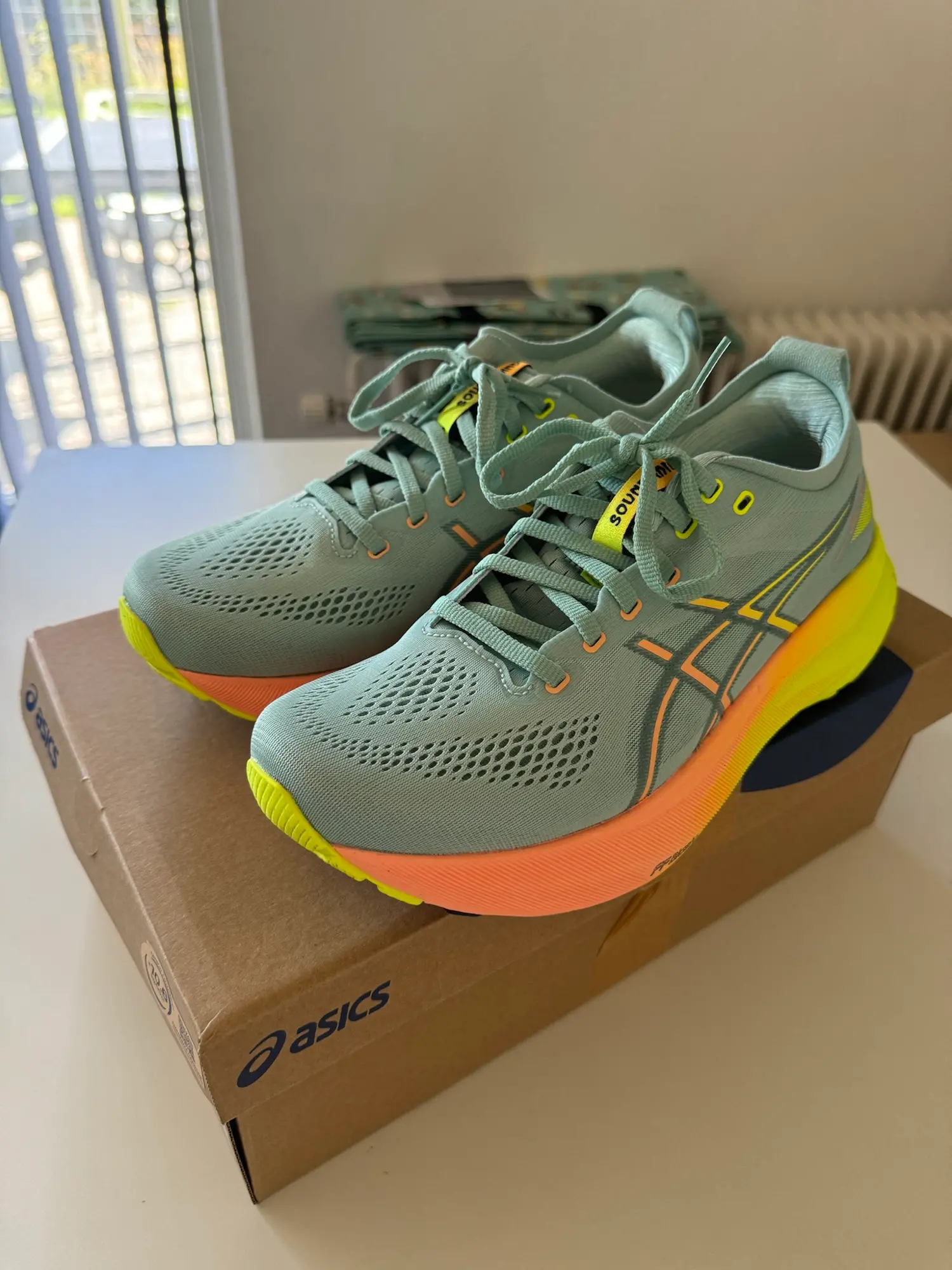 ASICS løbesko