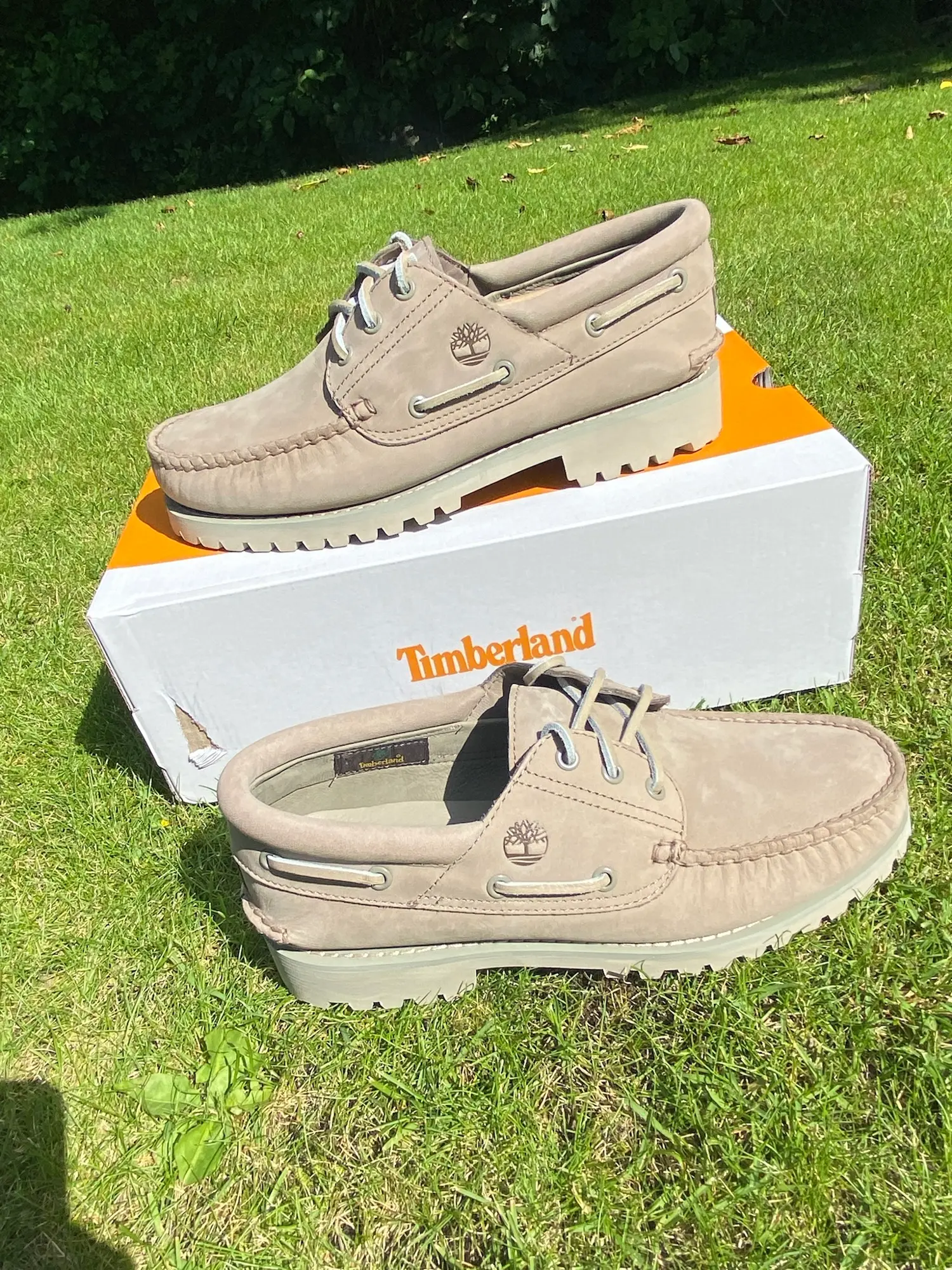 Timberland sneakers