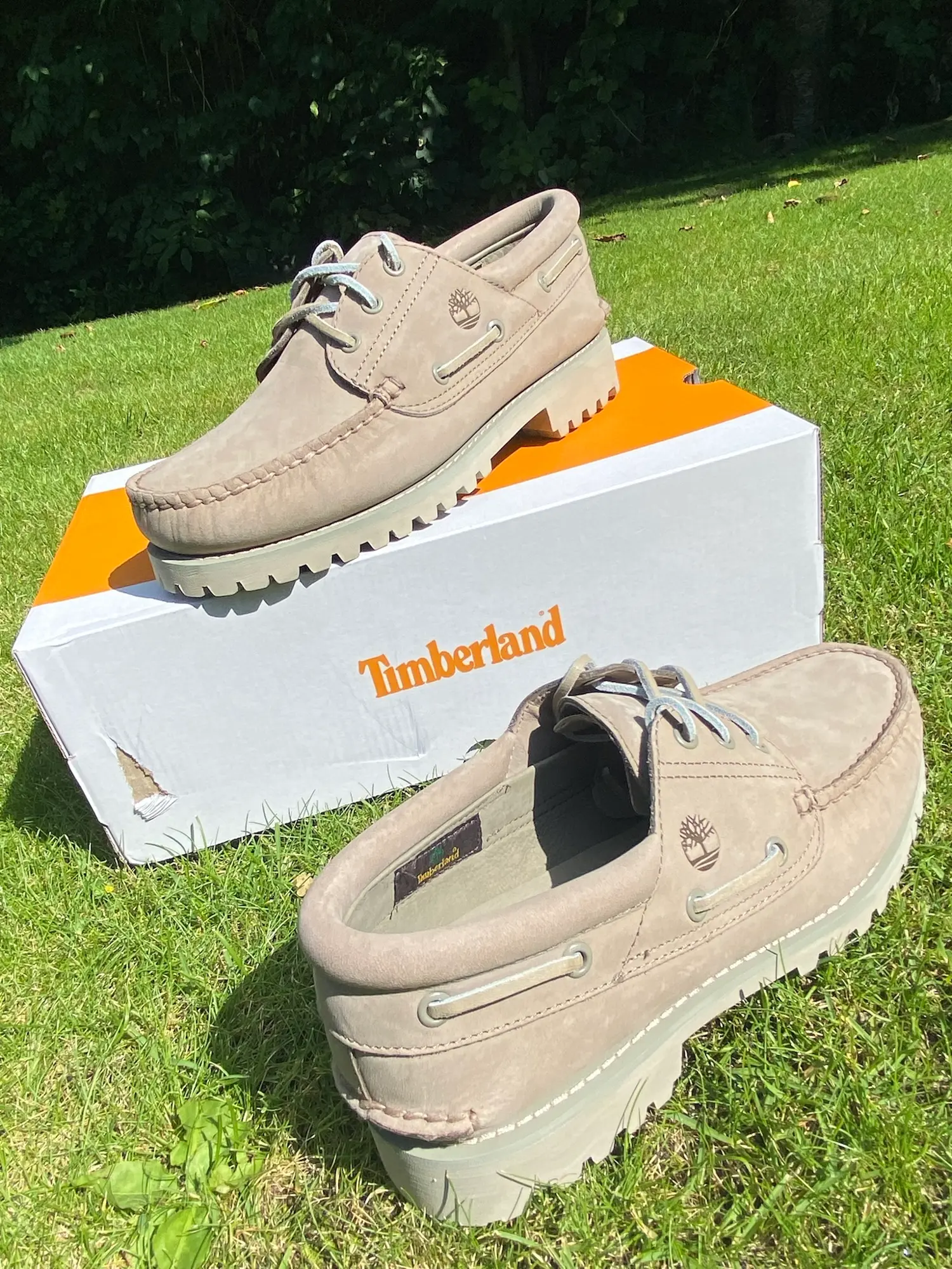 Timberland sneakers