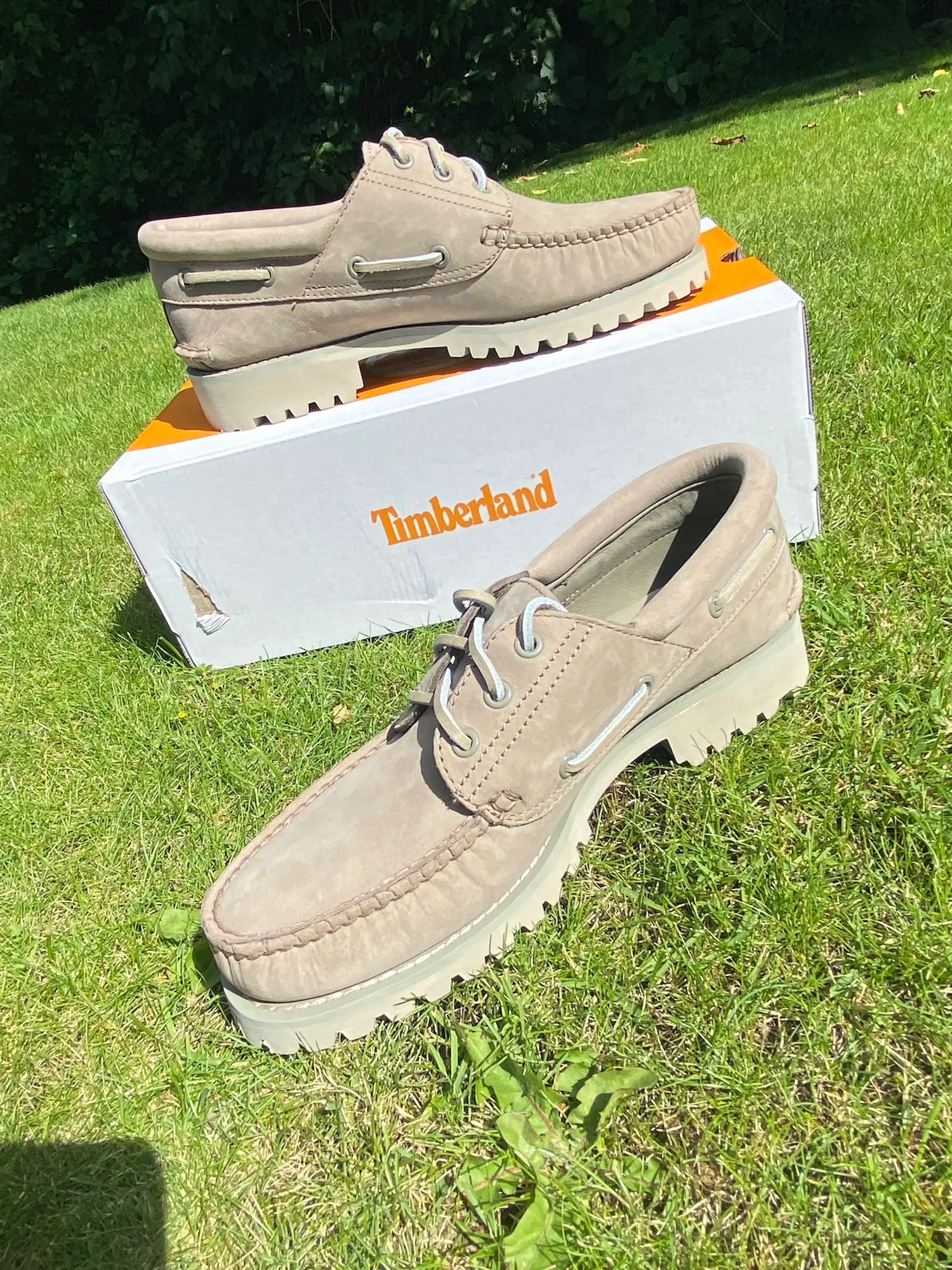 Timberland sneakers