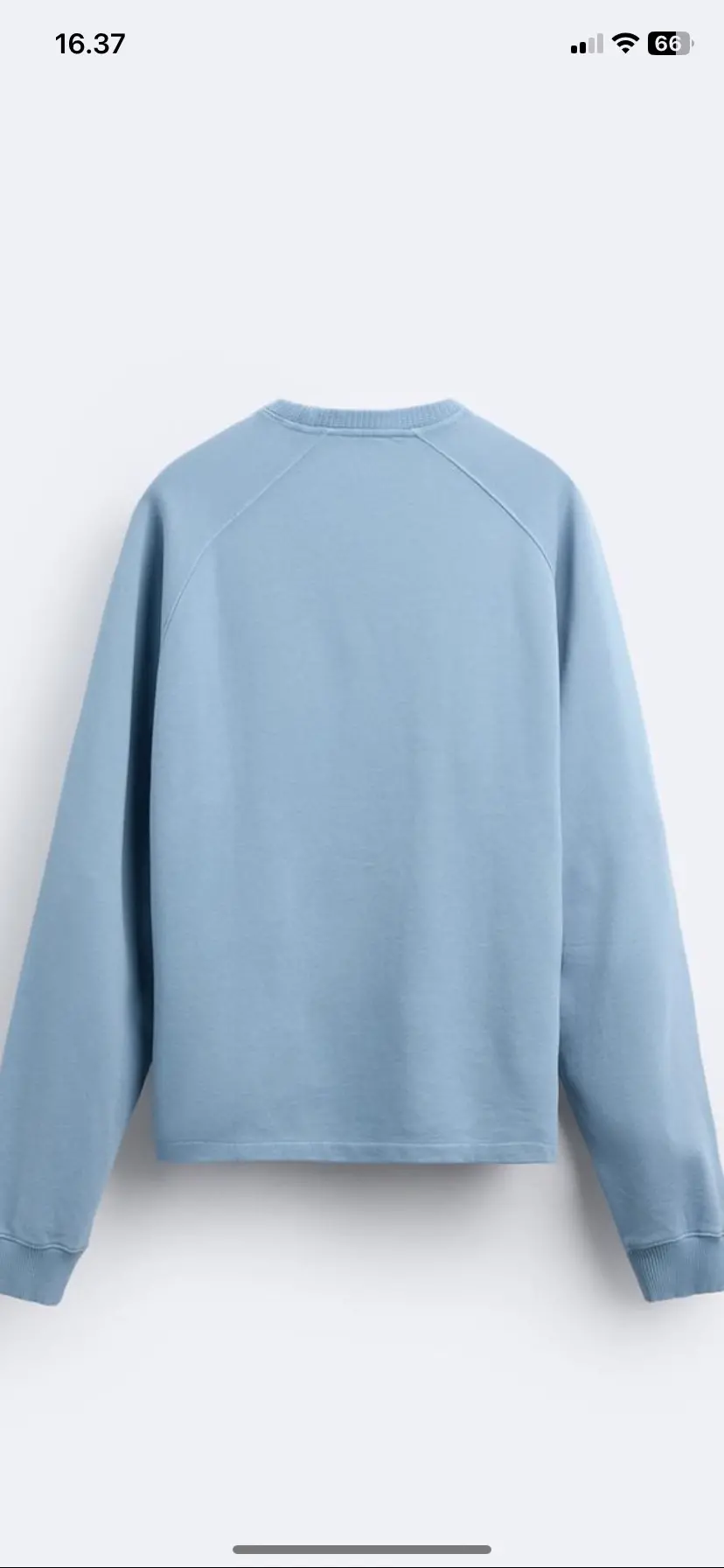 Zara sweatshirt