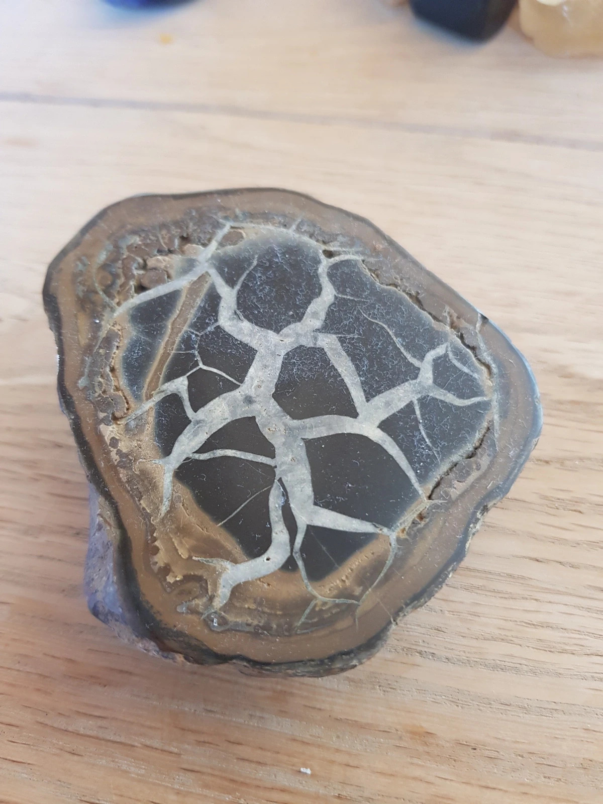 Septarian