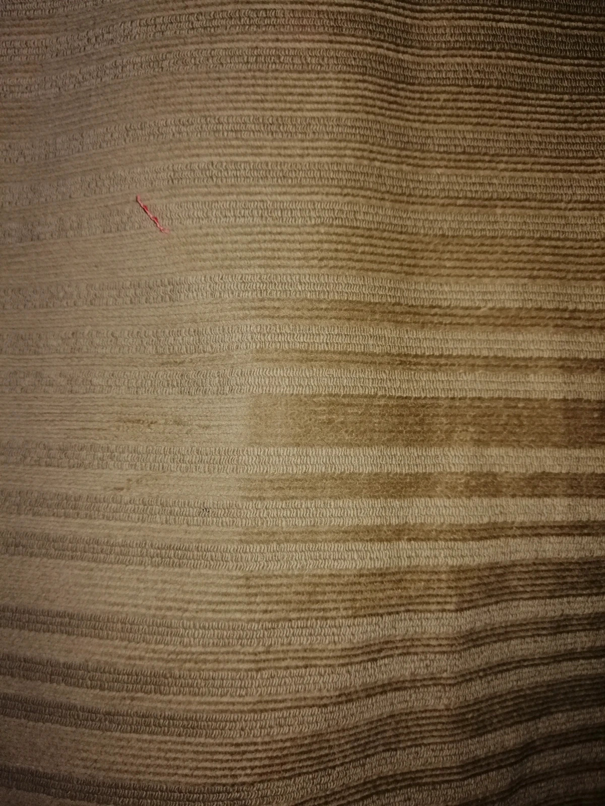 Sztruks aksamit tkanina bawełniana ze spandexem