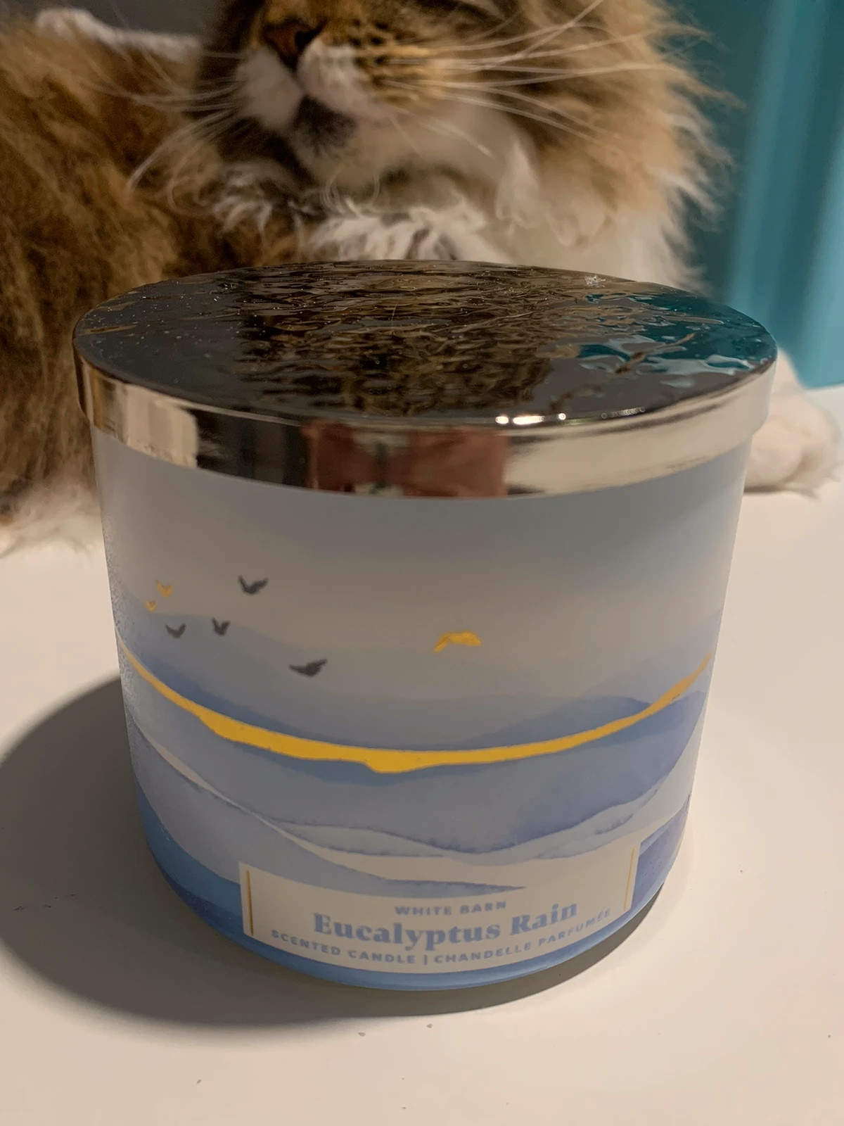 Eucalyptus rain bath  body works