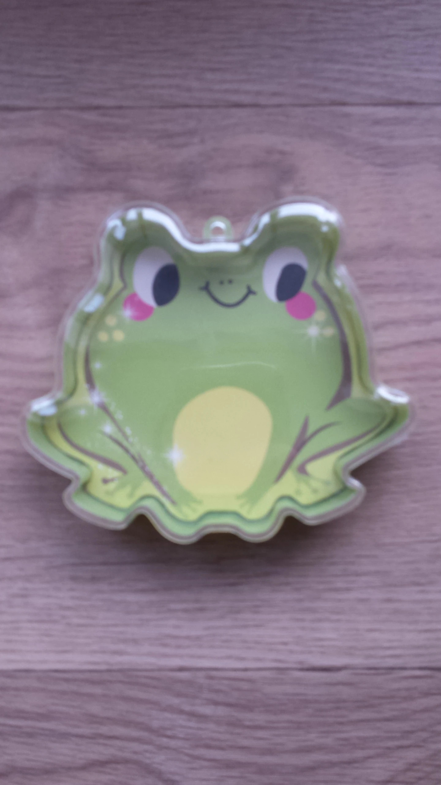 plastic frog shaped container with lid