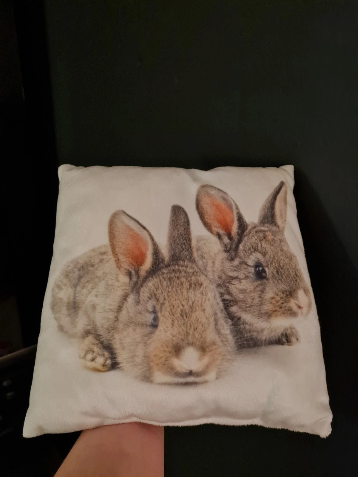 Kik małą poduszka dekoracyjna zające króliki 25x25 cm