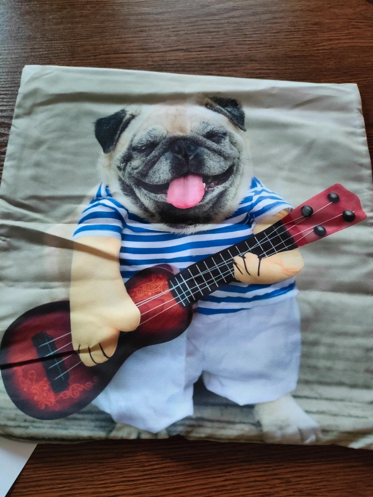 Poszewka na poduszkę Jaśka pies z gitarą