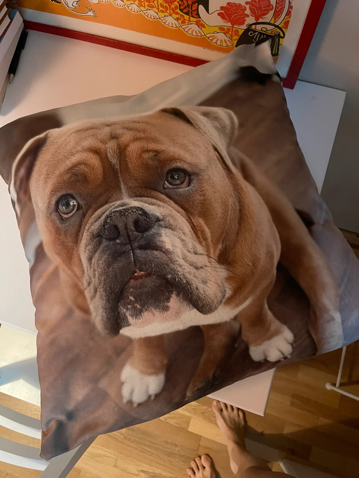 Prydnadskudde bulldog