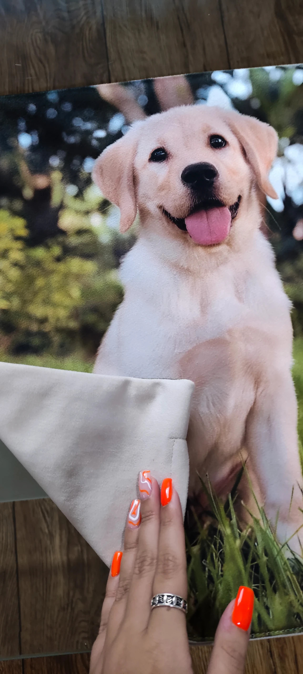 Poszewka na poduszkę zielona biała kolorowa welur labrador pies