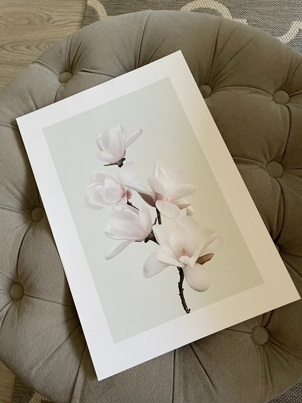 Poster, 21x30, poster store, magnolia, vit, rosa, mintgrön, pastellfärger