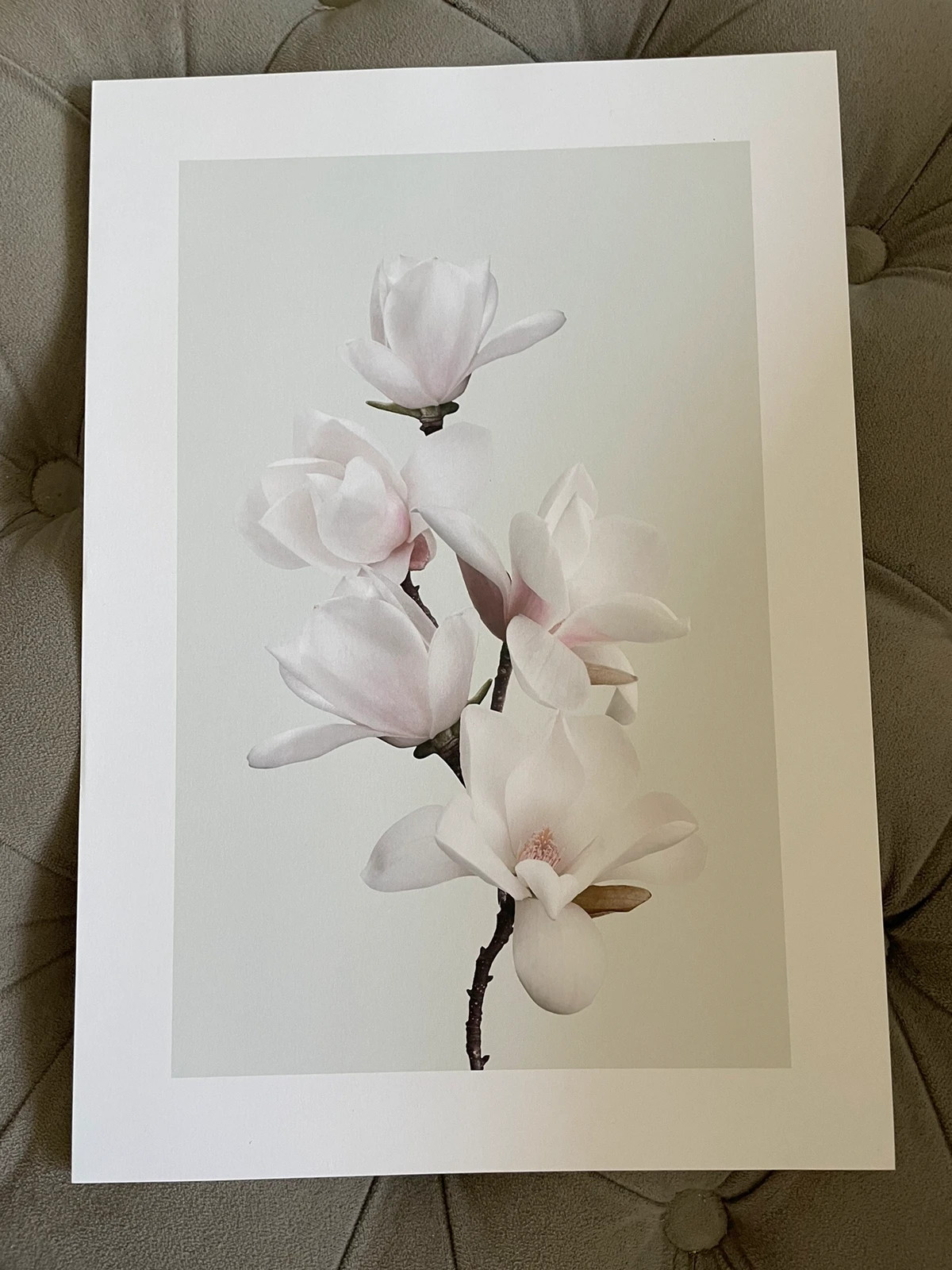 Poster, 21x30, poster store, magnolia, vit, rosa, mintgrön, pastellfärger