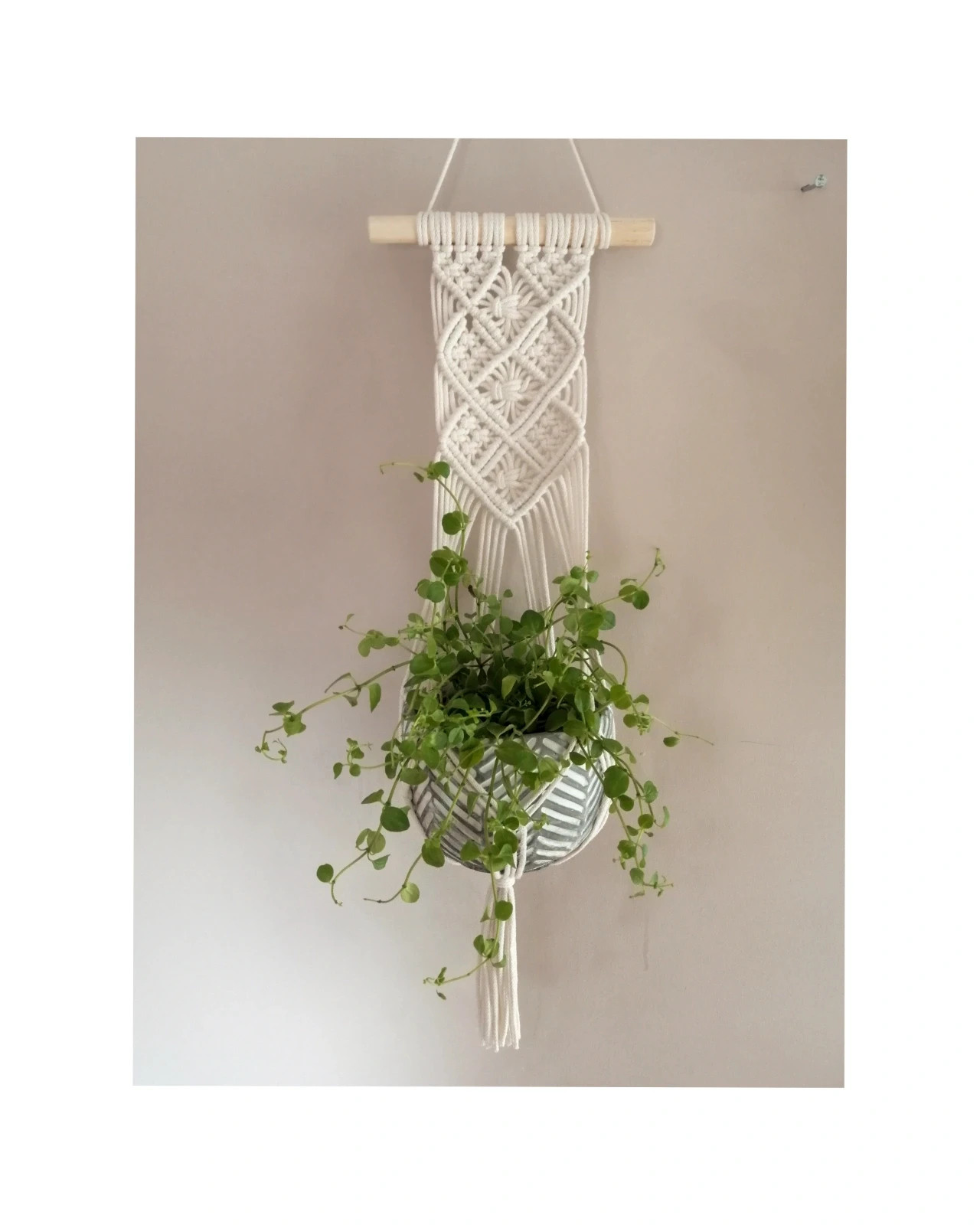 Kwietnik makrama plant hanger boho ecru