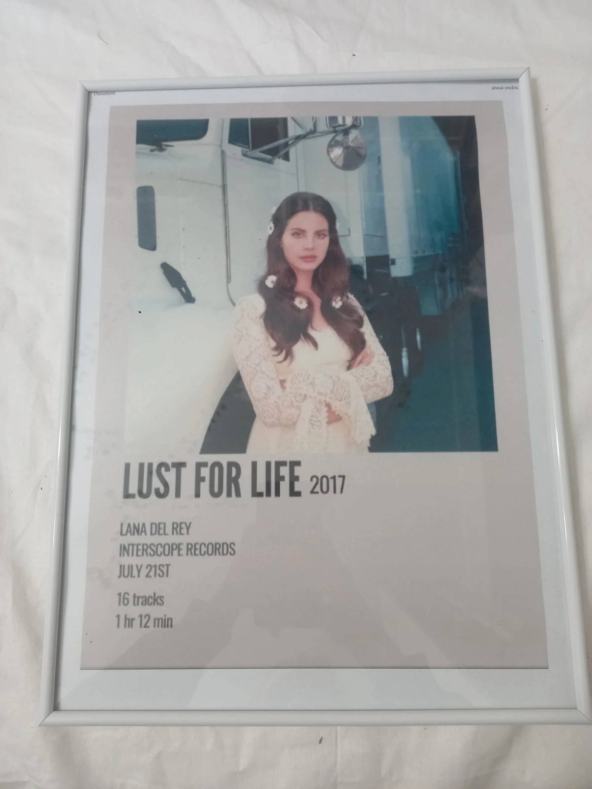 plakat laan del rey z albumu lust for lie