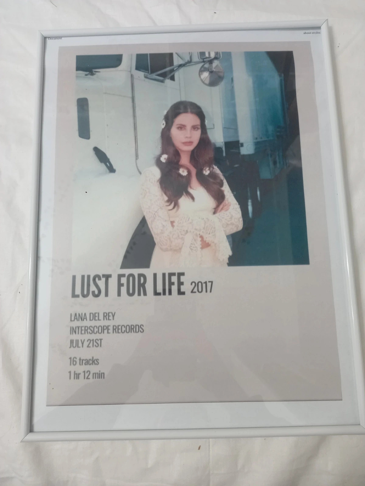 plakat laan del rey z albumu lust for lie