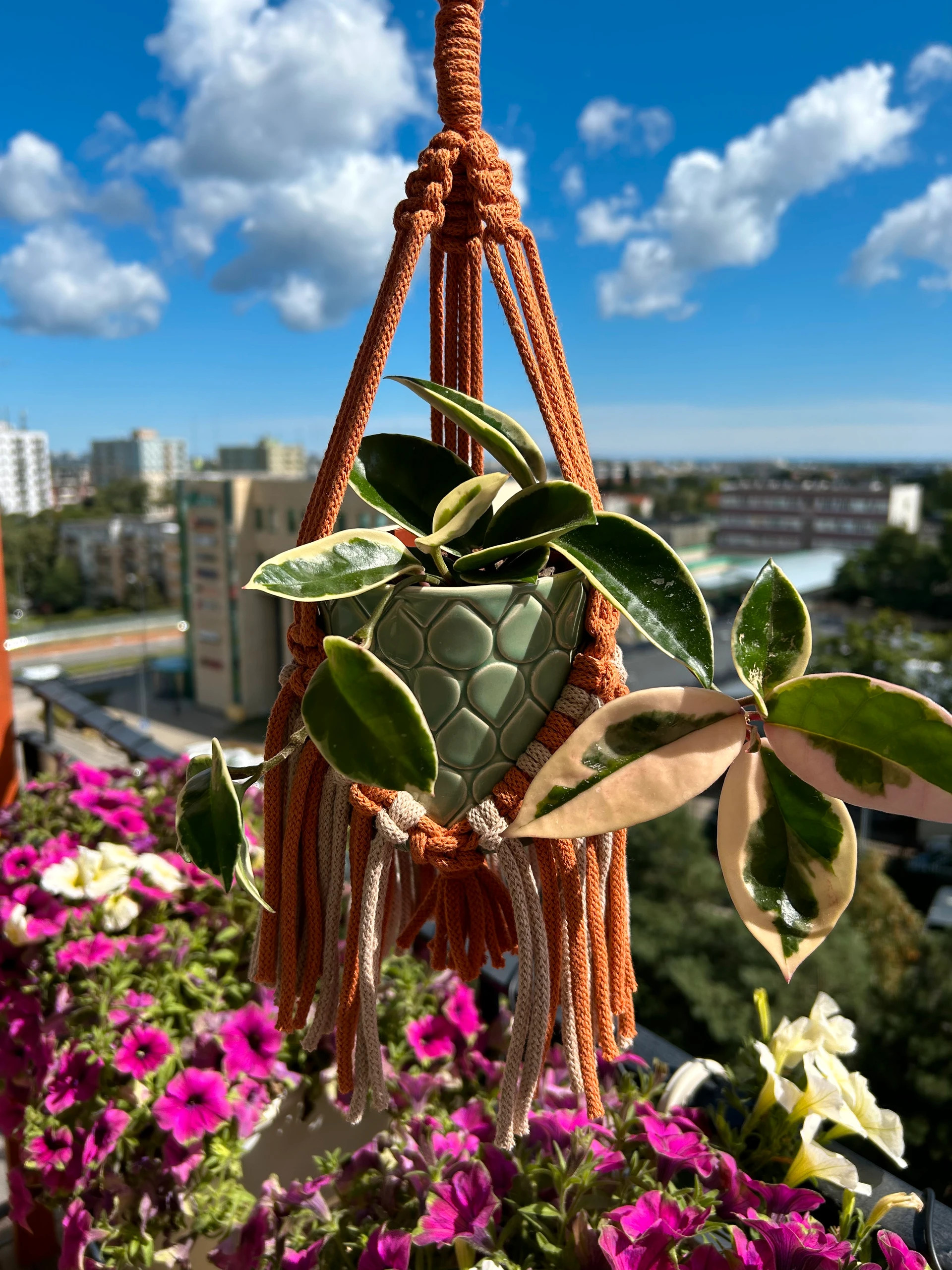 Handmade kwietnik makrama | Handmade beige copper plant hanger