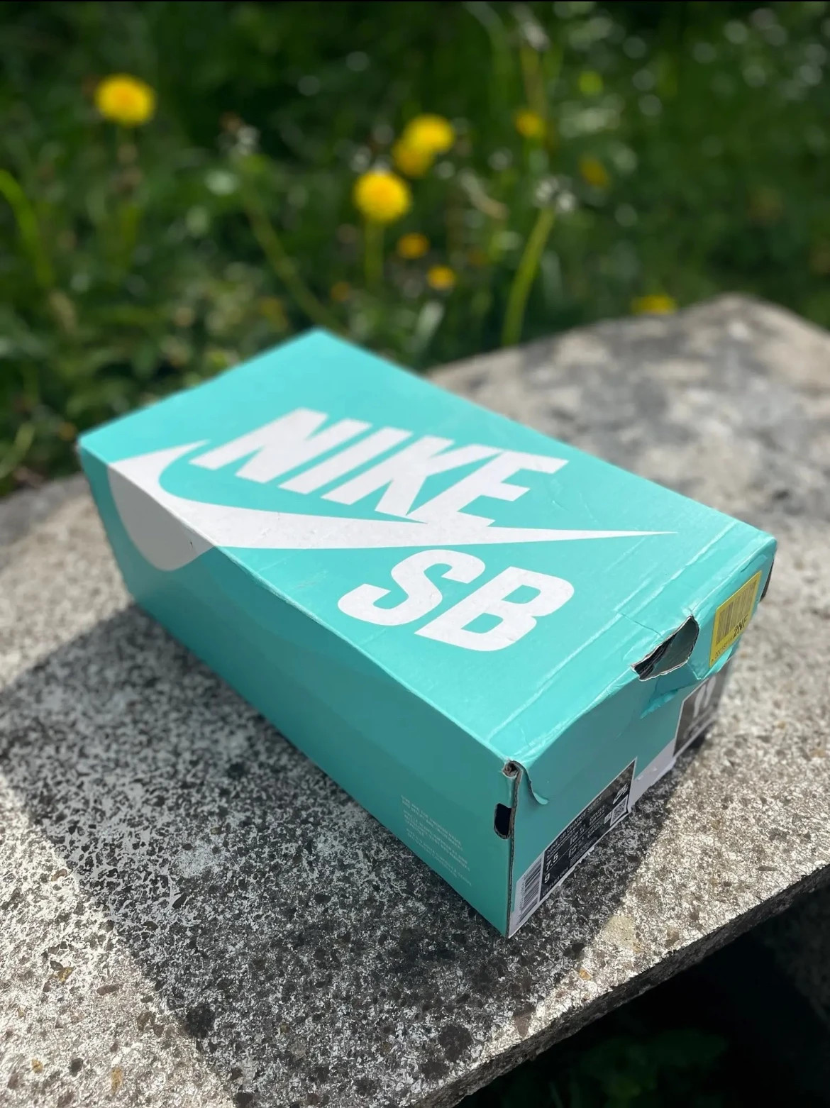 Nike sb sko box