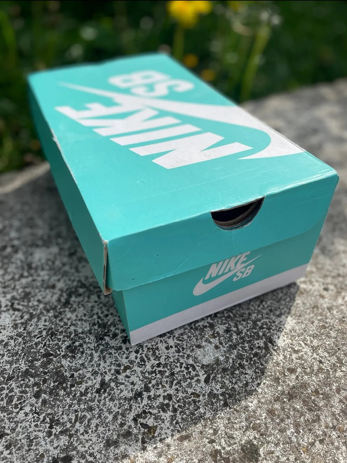 Nike sb sko box