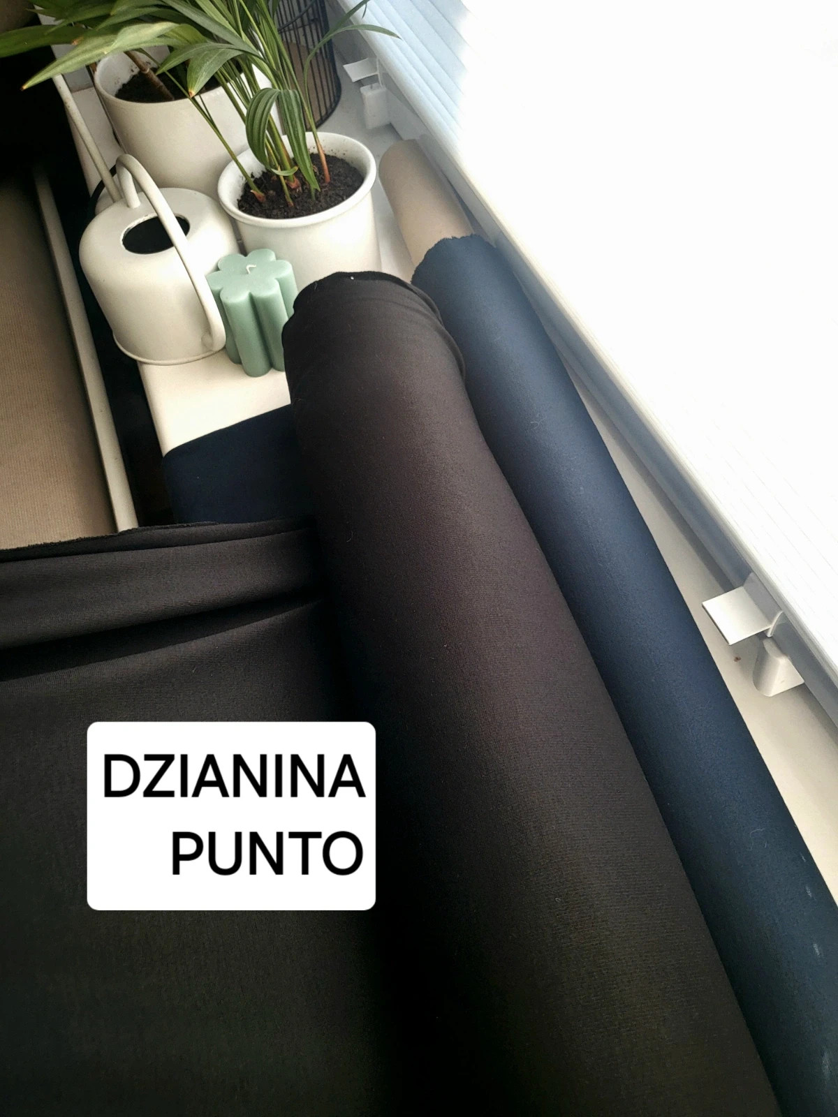 Dzianina punto