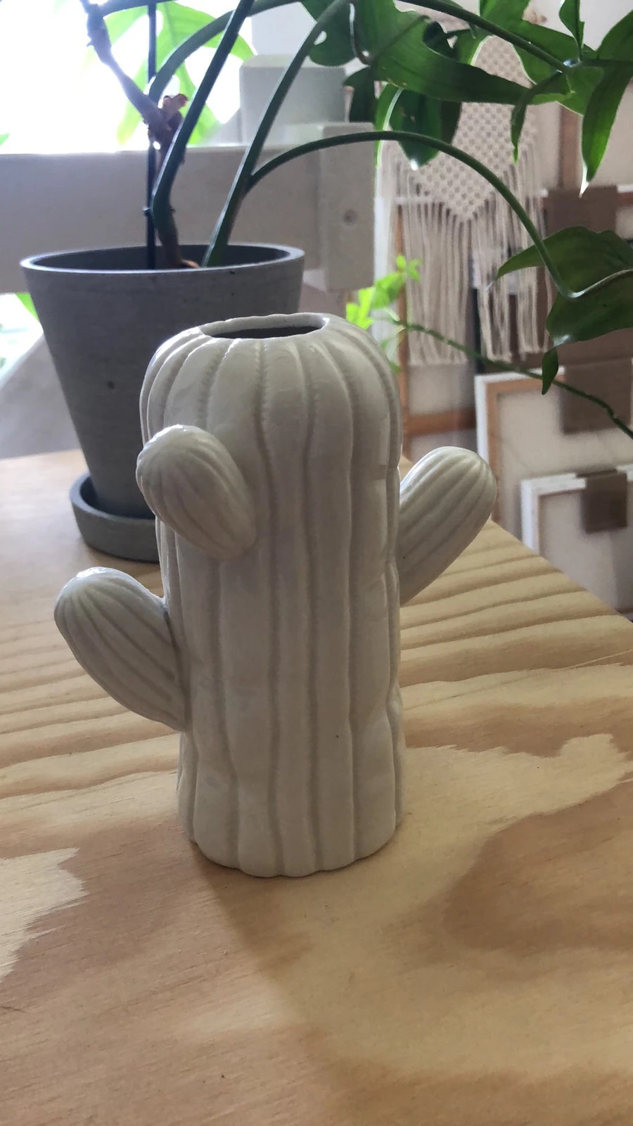 Kaktus vase