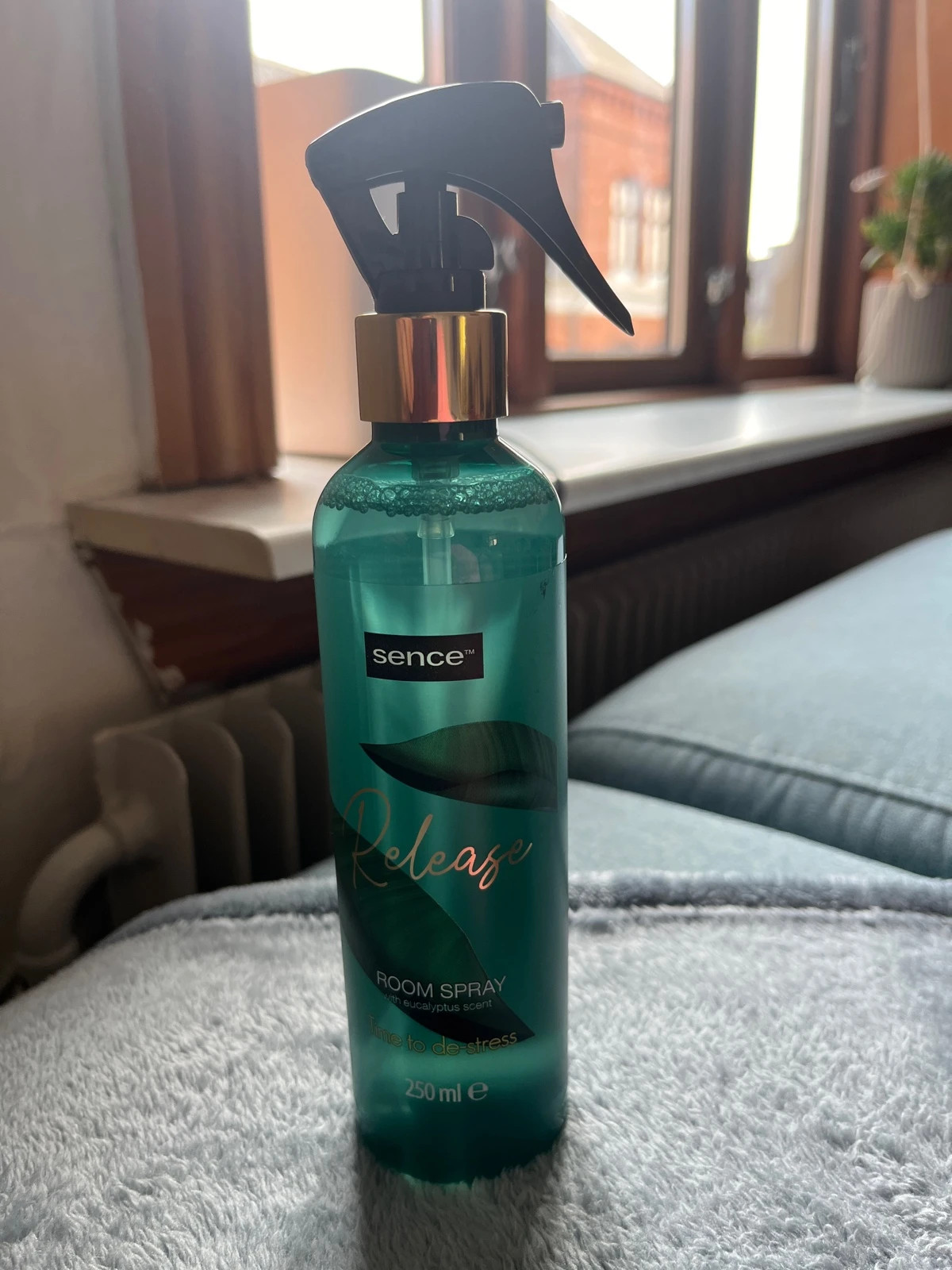 Room spray with eucalyptus scent