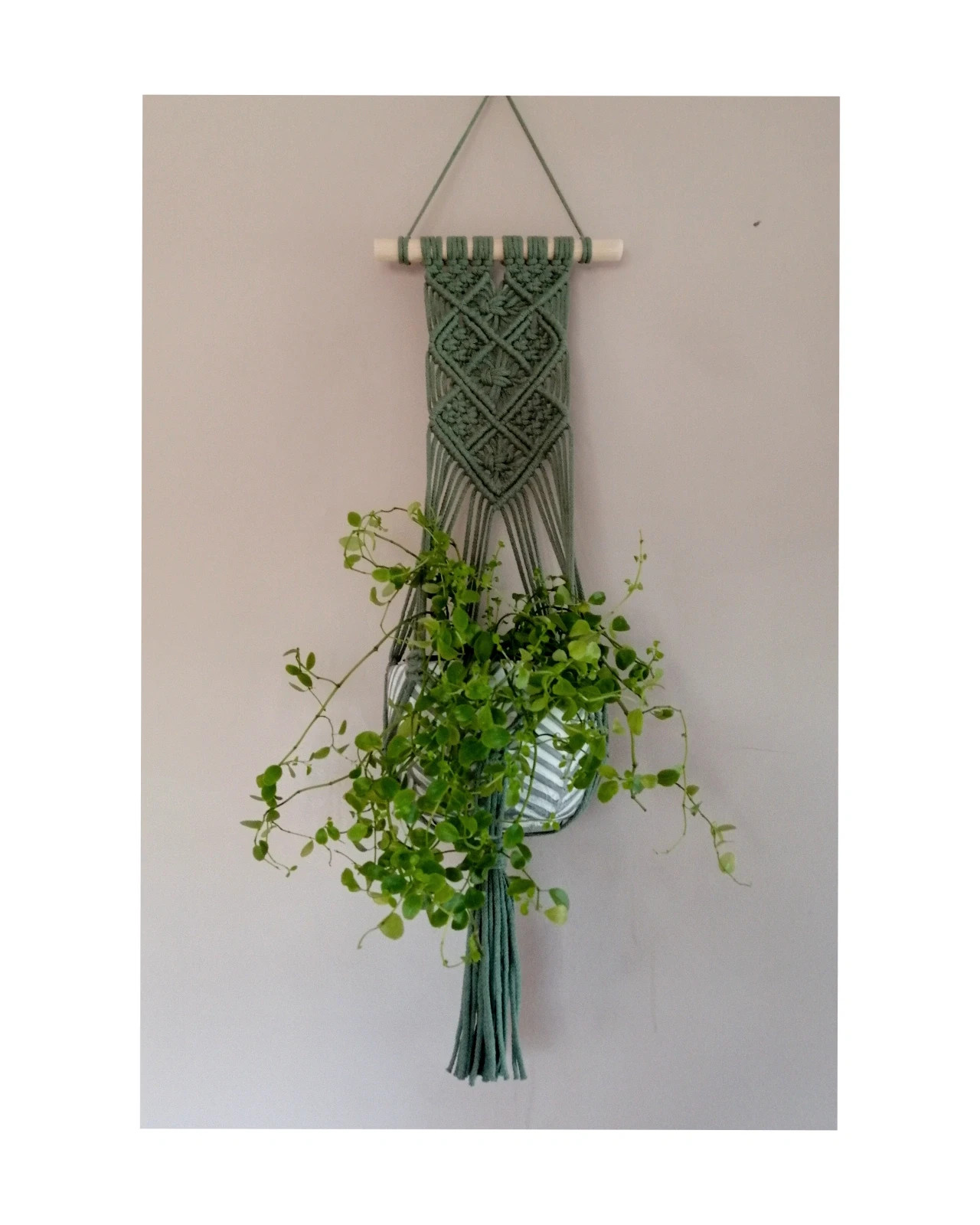 Macrame Plant hanger kwietnik makrama szałwia