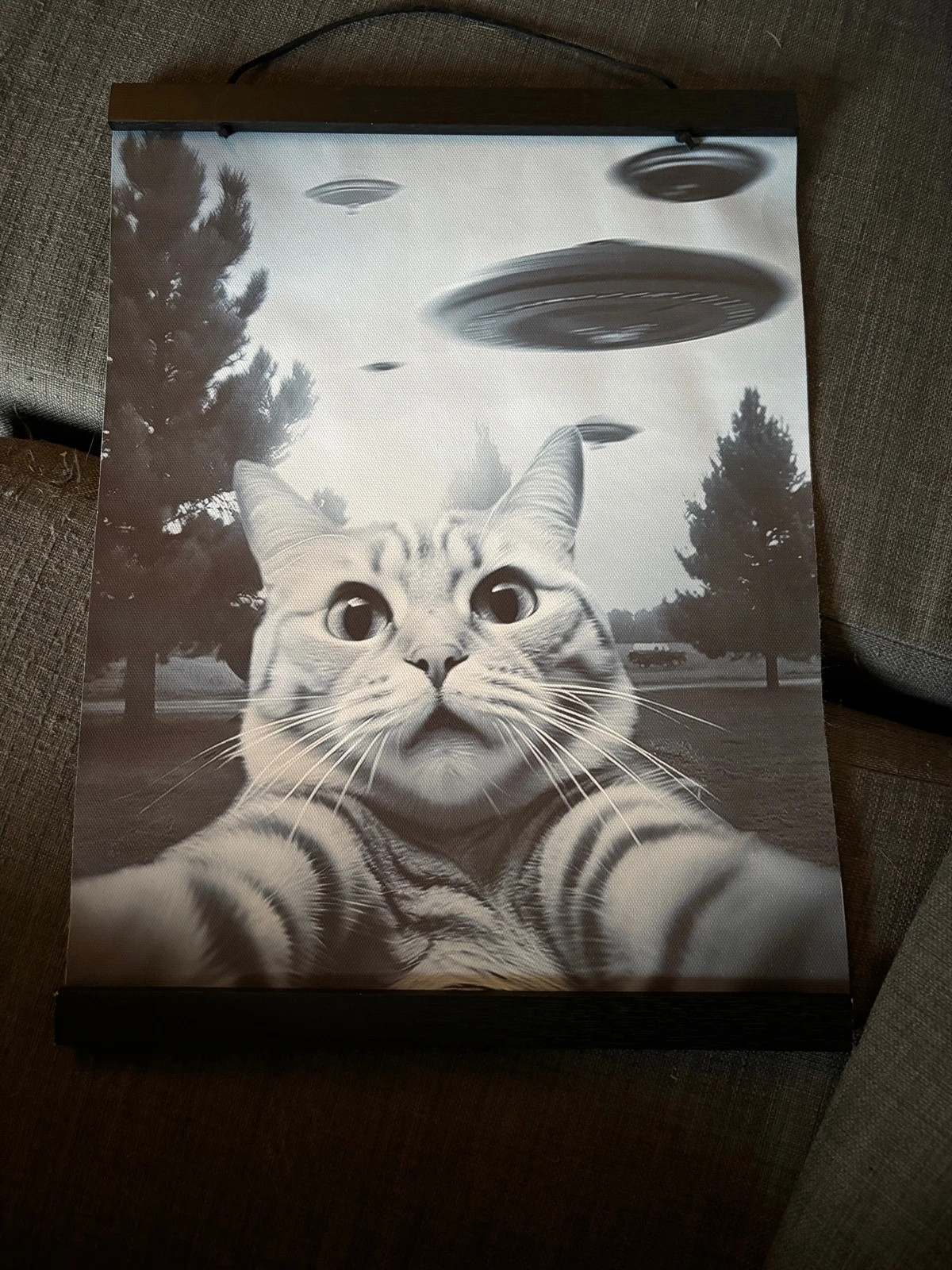 Poster katt ufo