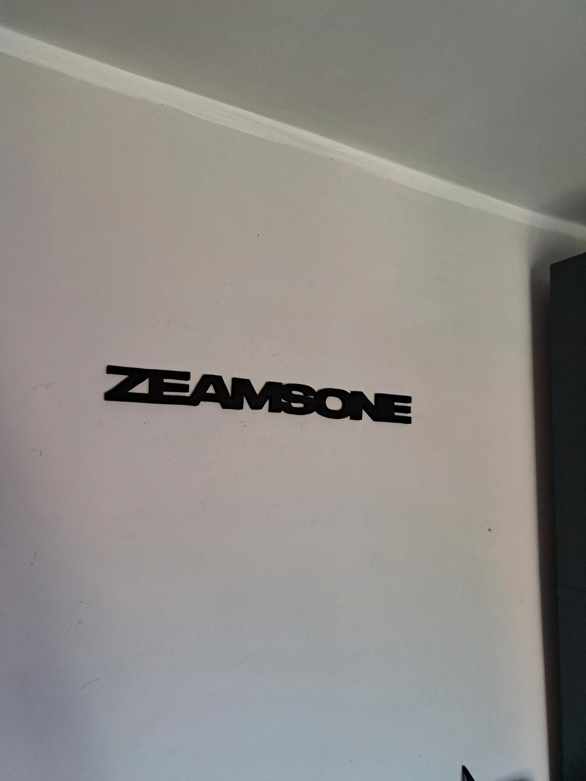 Logo ozdoba zeamsone