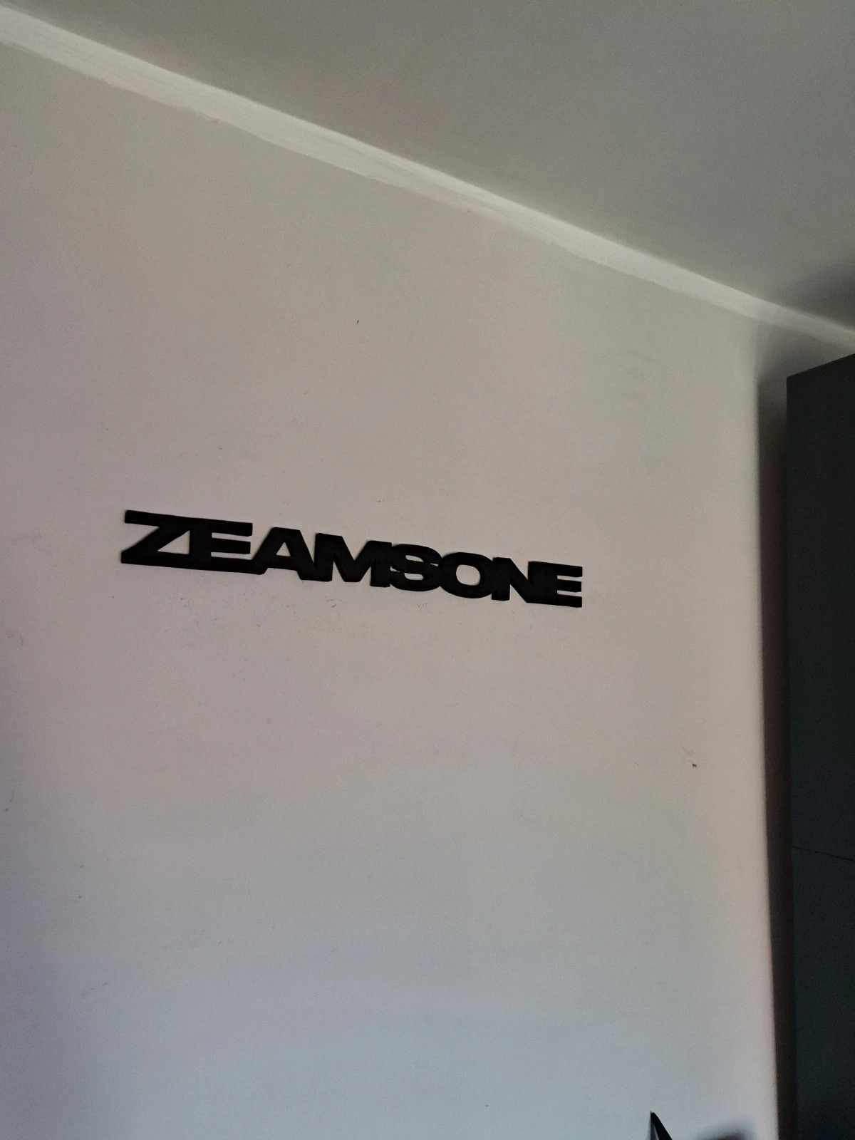 Logo ozdoba zeamsone