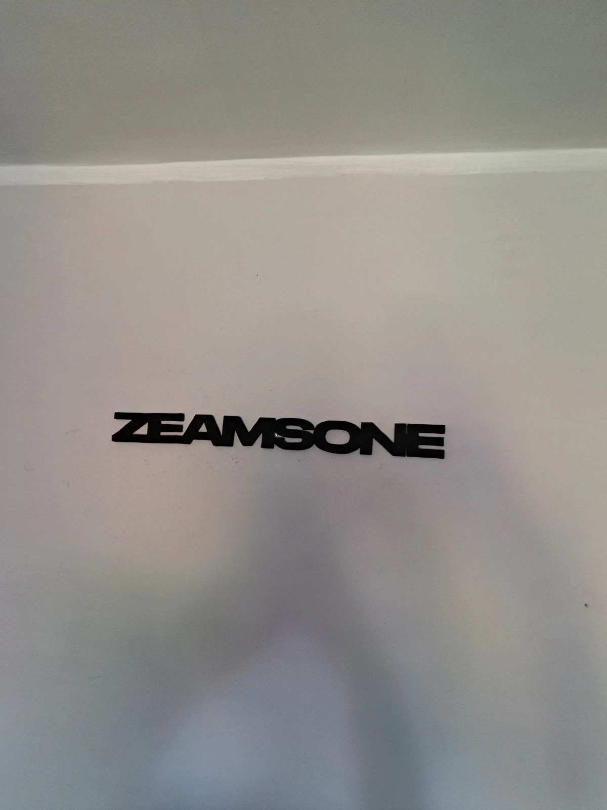 Logo ozdoba zeamsone