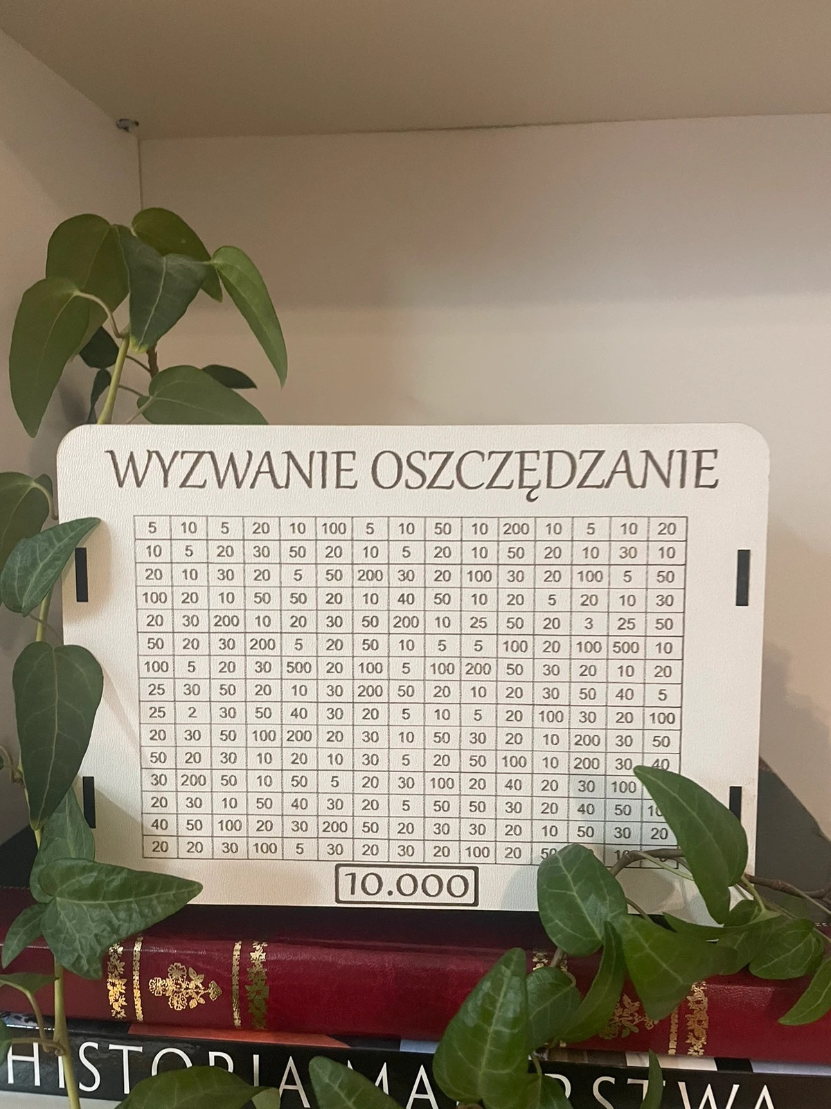 Skarbonka wykreślana na cel 10000