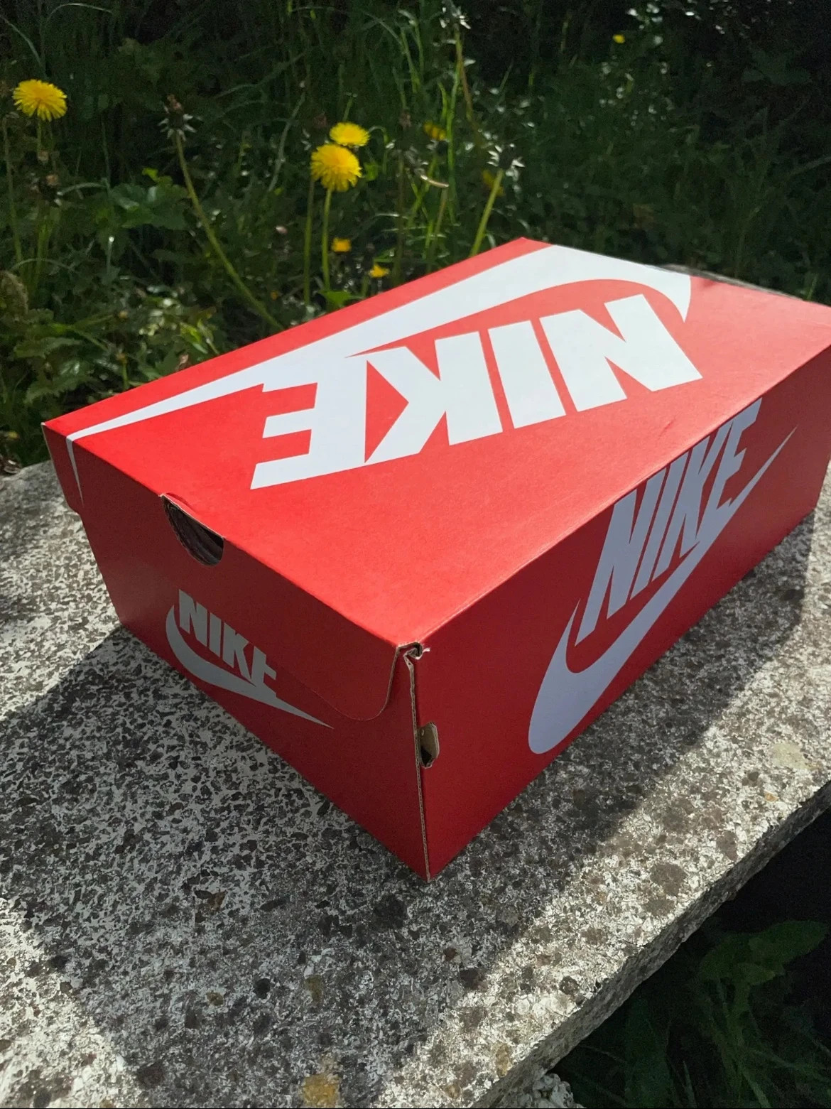 Nike Sko Box