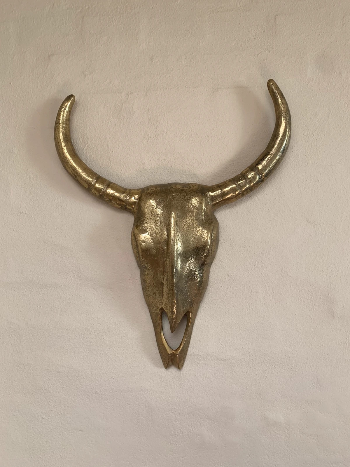 Metal buffalo skull til væg