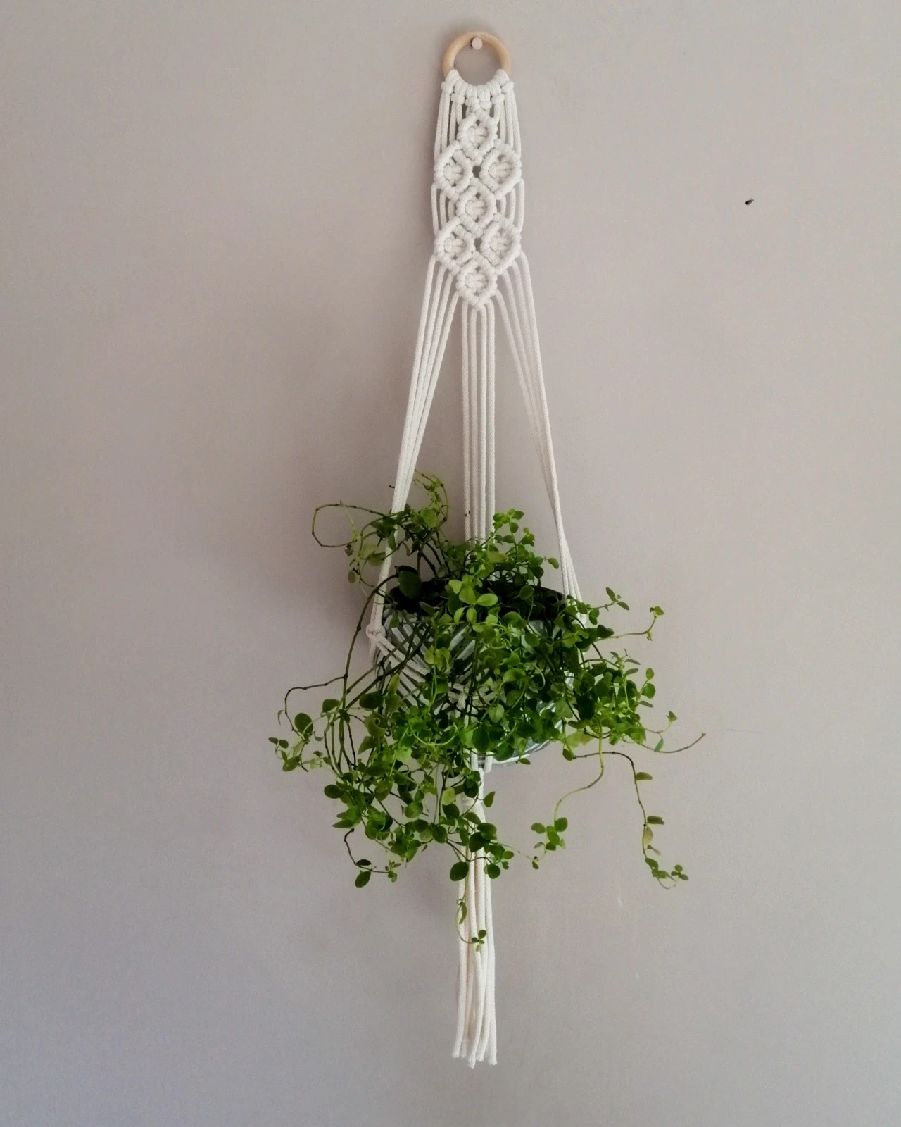 Makrama kwietnik macrame plant hanger prosty na kółku