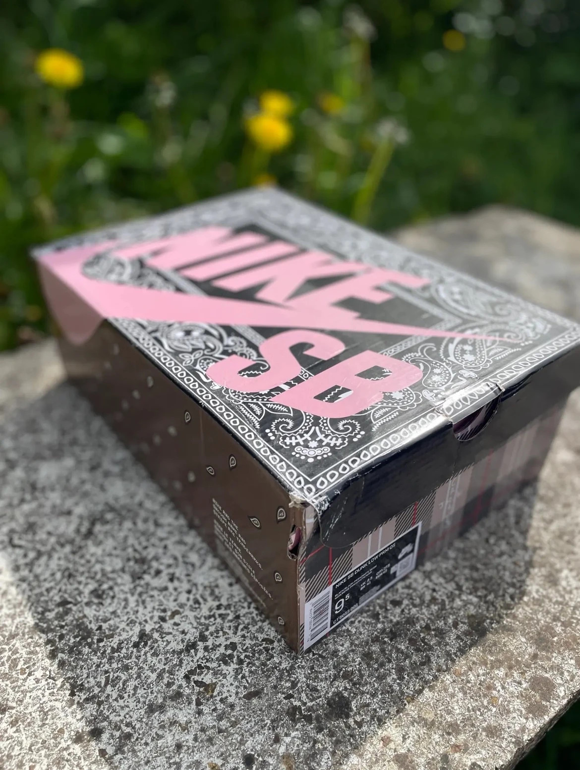 Nike sb x Travis Scott sko box