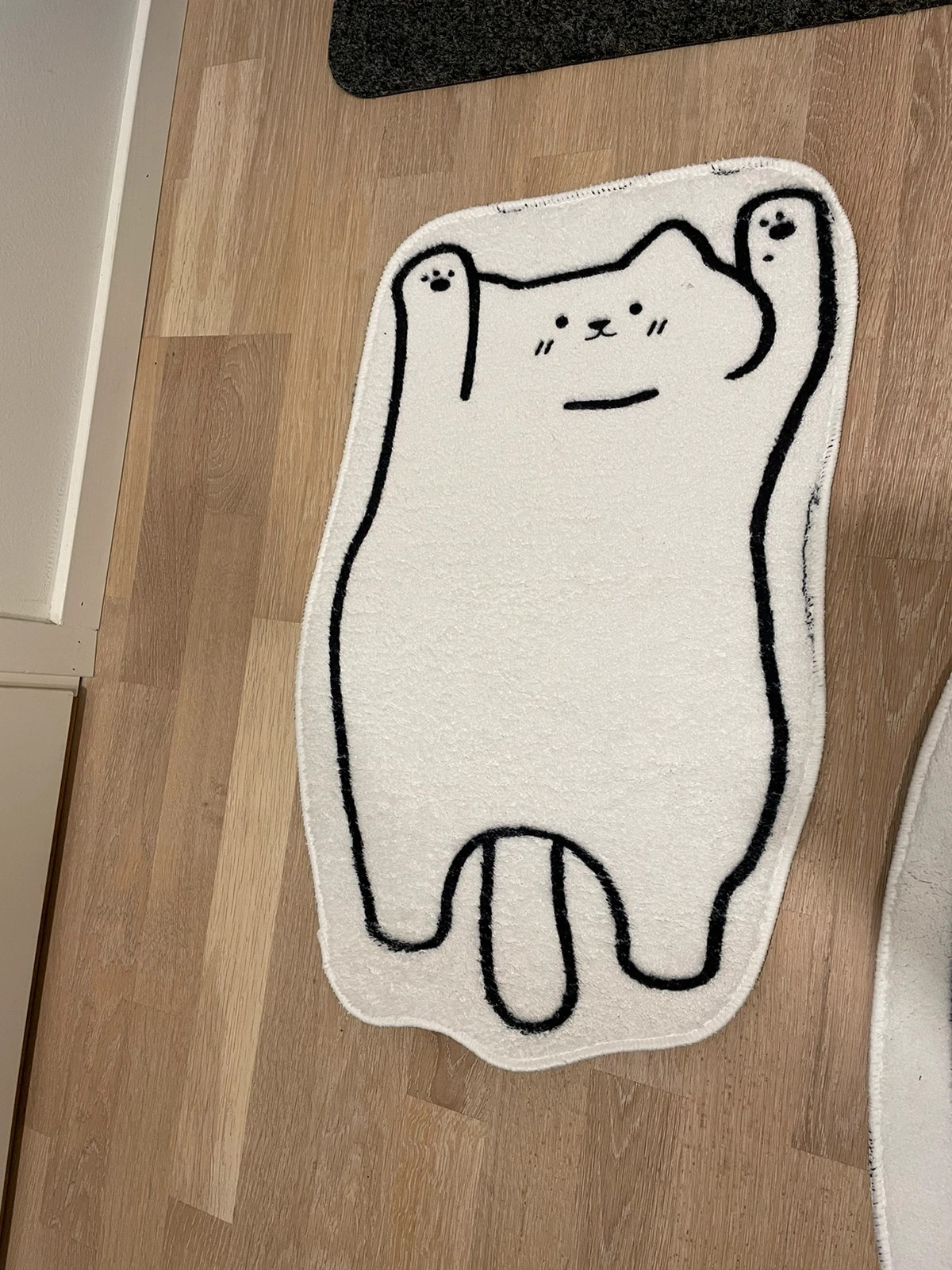 Cat mats (can be sold separately)