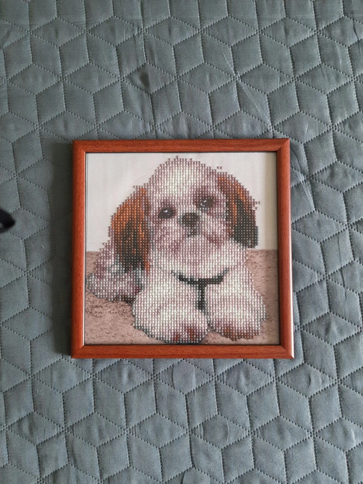 Obraz "Shih Tzu" mozaika diamentowa 5d